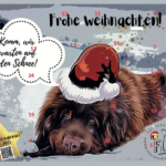 Adventskalender des Fördervereins – Die Gewinn-Nummern